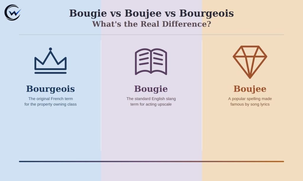 Bougie vs Boujee vs Bourgeois: What the Real Difference?