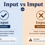 Input vs Imput