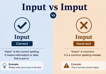 Input vs Imput
