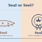 Seal vs Seel