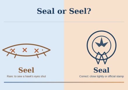 Seal vs Seel