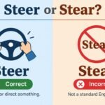 Steer or Stear