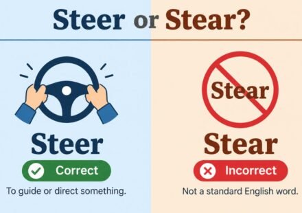 Steer or Stear