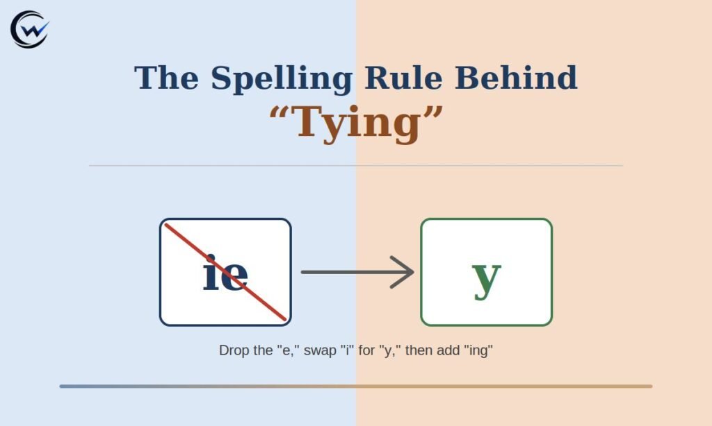 The Spelling Rule Behind "Tying"