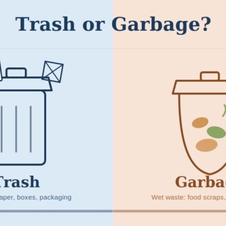 Trash vs Garbage: Whats the Real Difference?