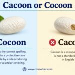 Cacoon or Cocoon