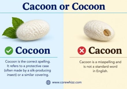 Cacoon or Cocoon