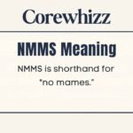 NMMS Meaning