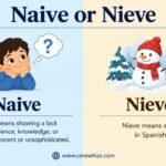 Naive or Nieve
