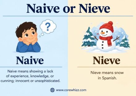 Naive or Nieve
