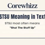 STSU Meaning in Text