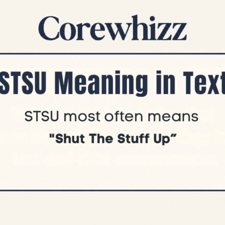 STSU Meaning in Text