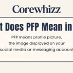 what does pfp mean in text