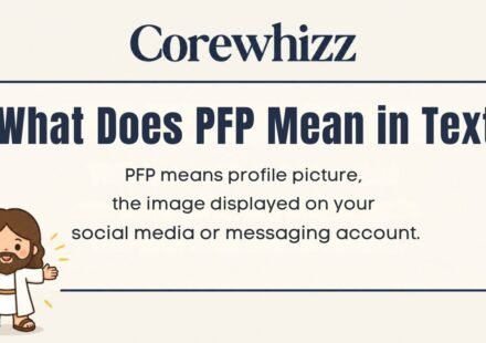 what does pfp mean in text